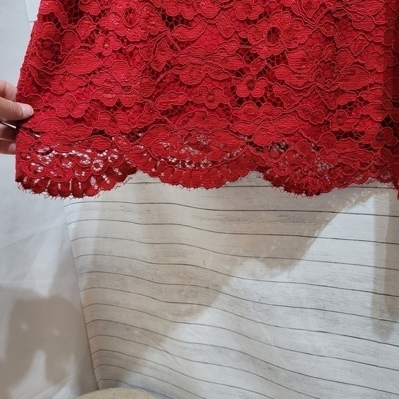 Lovers + Friends Caspian Shift Red Lace, sz LARGE - Picture 6 of 9